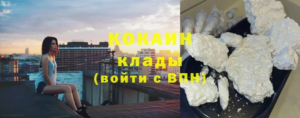 дурь Каменка
