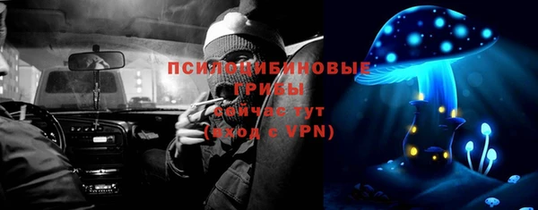 дурь Каменка