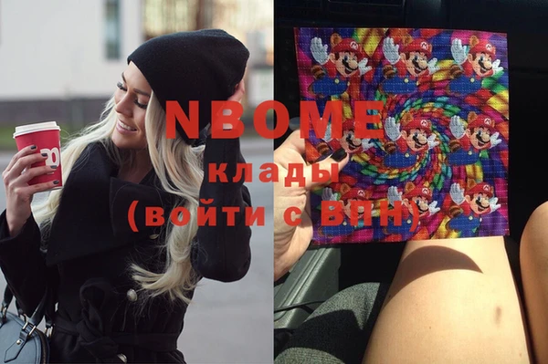 стаф Каменск-Шахтинский