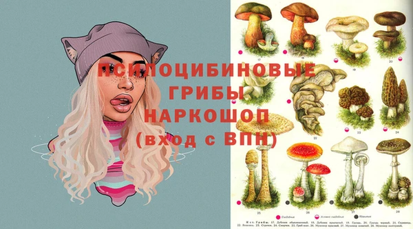 стаф Каменск-Шахтинский
