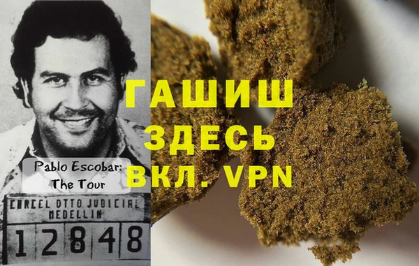 дурь Каменка