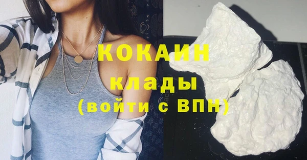 дурь Каменка