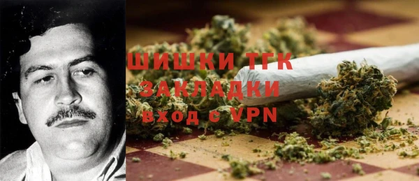 стаф Каменск-Шахтинский
