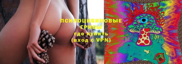 дурь Каменка