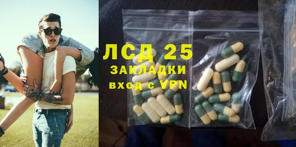 дурь Каменка