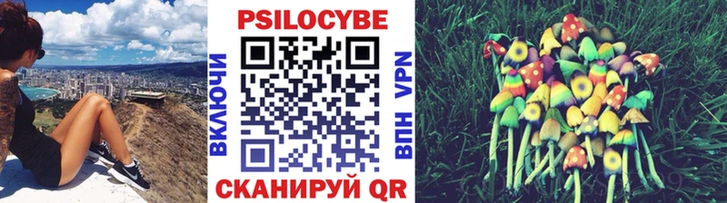 Купить закладки  Змеиногорск  Псилоцибиновые грибы ЛСД 