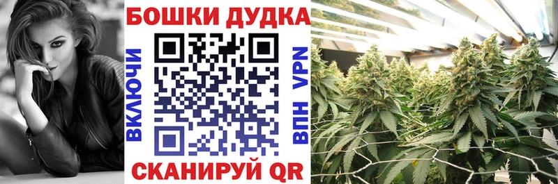 Канабис White Widow  Купить закладки  Змеиногорск 